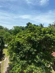 Blk 101 Bukit Purmei Road (Bukit Merah), HDB 4 Rooms #501675591